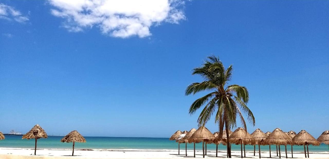 Hotel & Suites Domani Progreso  Buitenkant foto